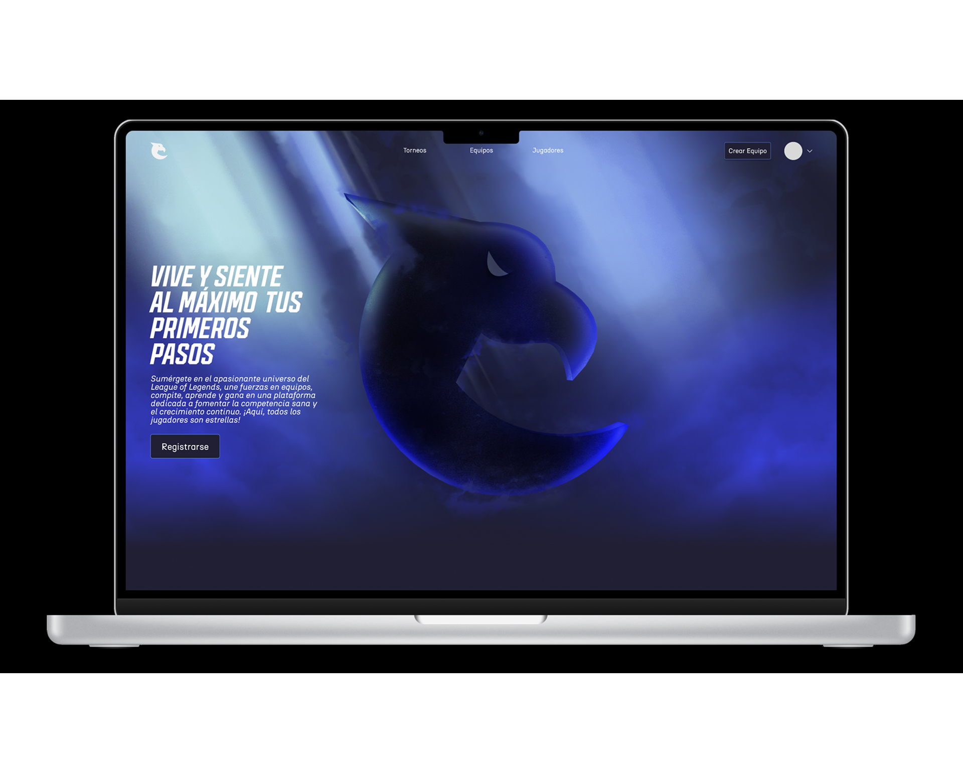 Project showcase wide